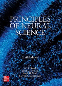 Principles of Neural Science第６版で研究内容が引用されました