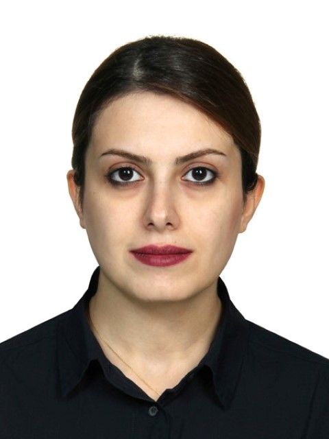 ネサビ　マへデス